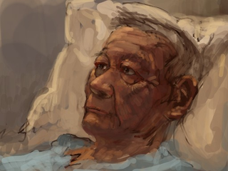 Illustration for article titled Using the Nintendo DS to Paint Very Pretty Pictures